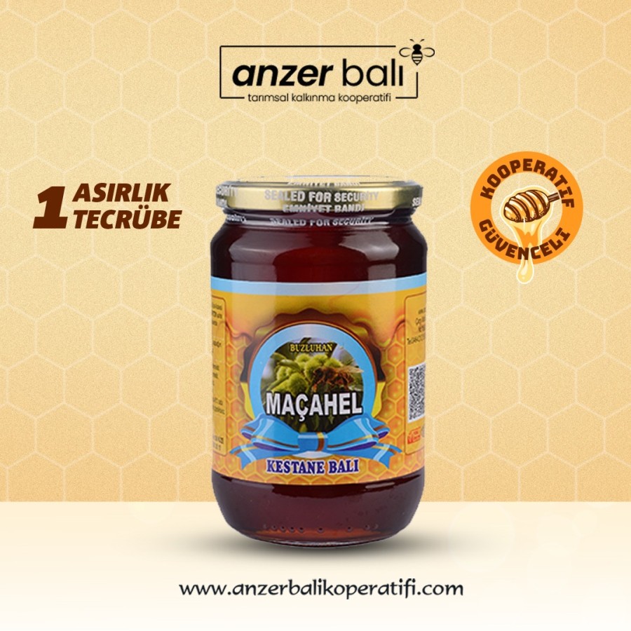 Kestane Balı 970 GR