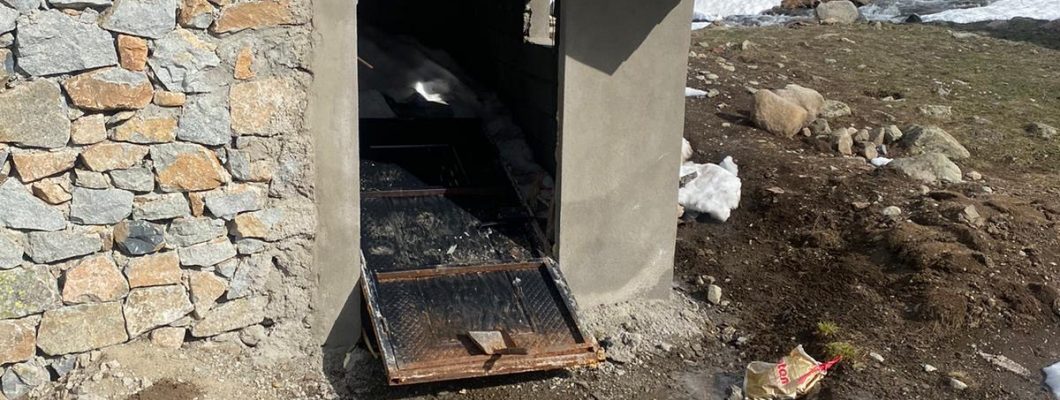 Anzer Yaylası'nda Ayı Zararı 2024 | Rize Yayla Haberleri