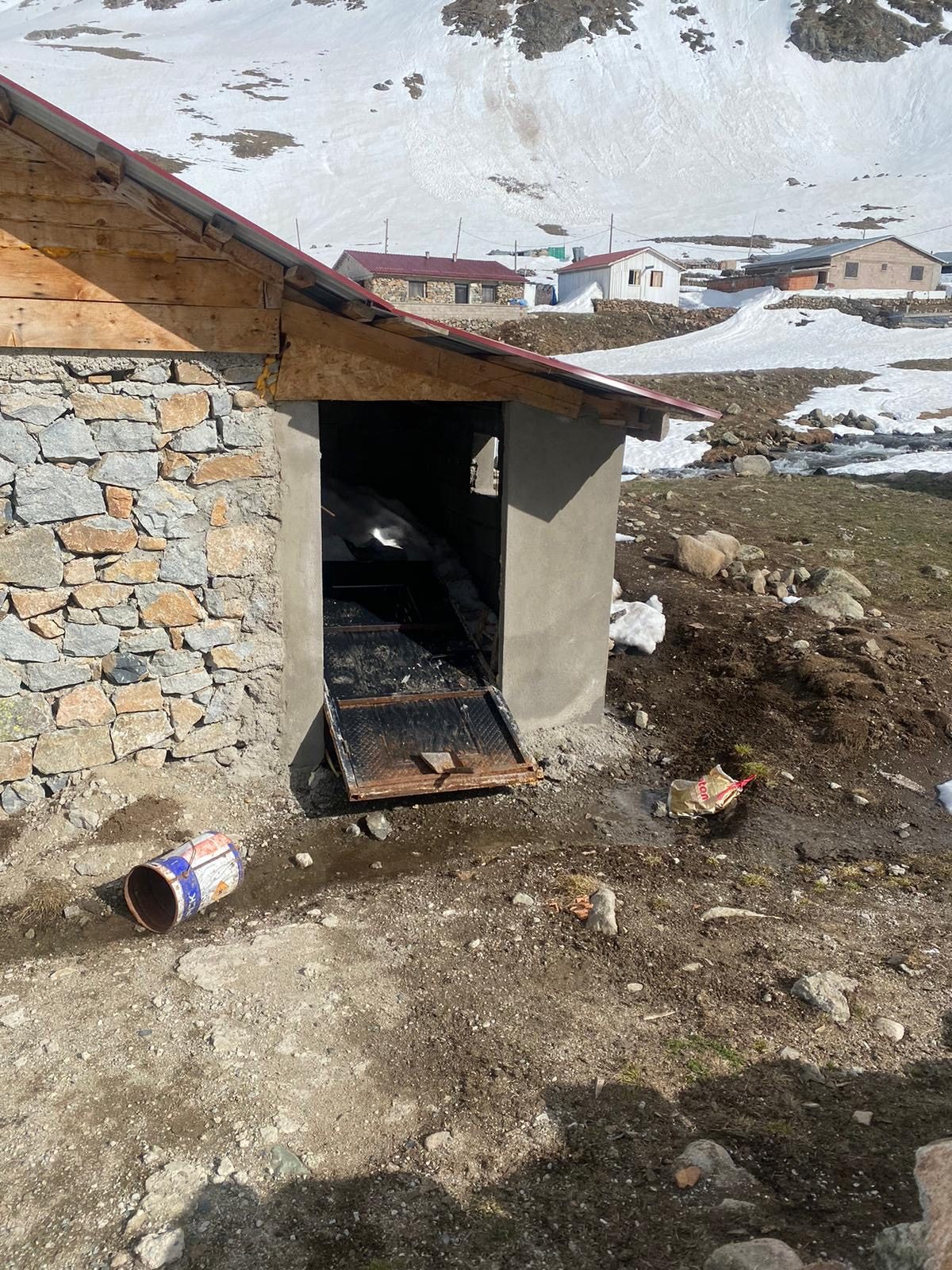 Anzer Yaylası'nda Ayı Zararı 2024 | Rize Yayla Haberleri