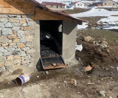 Anzer Yaylası'nda Ayı Zararı 2024 | Rize Yayla Haberleri