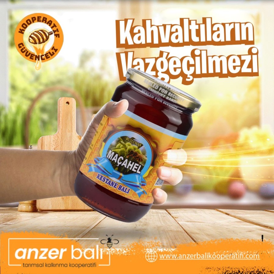 Kestane Balı 970 GR