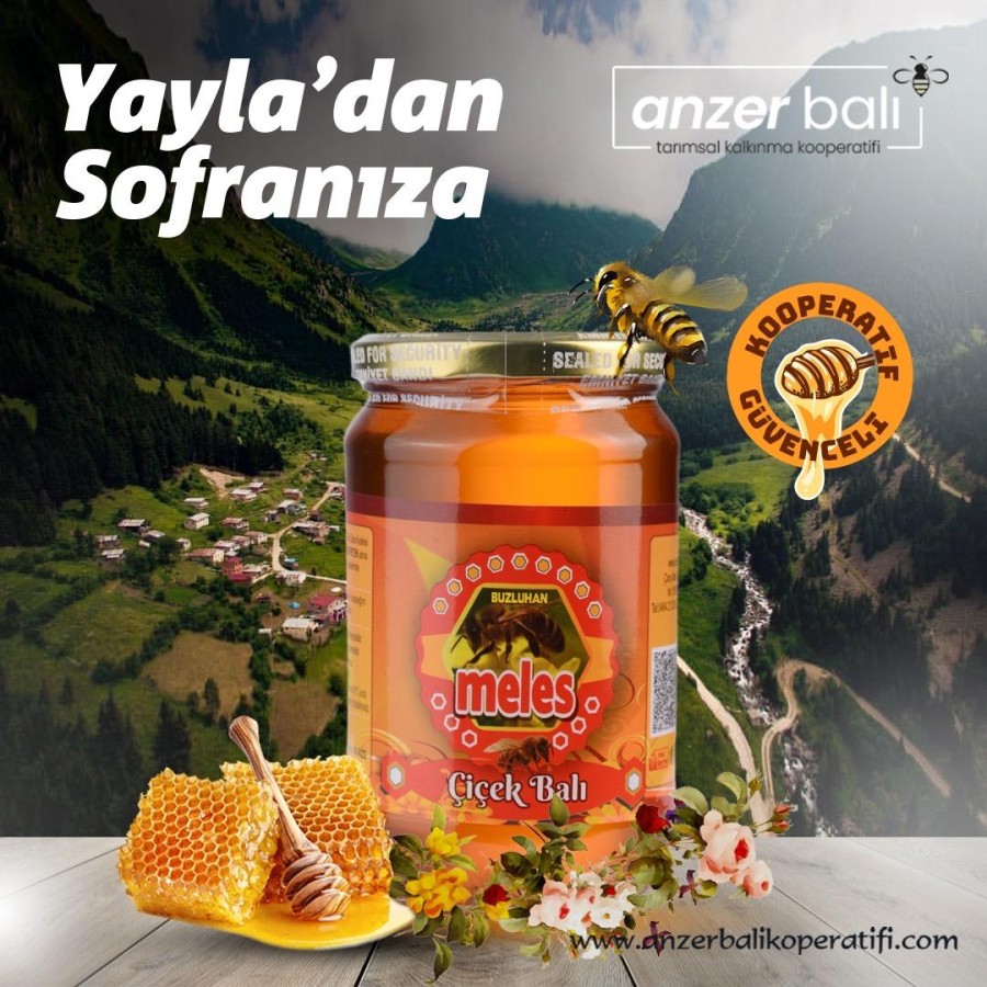 Meles Balı 970 GR