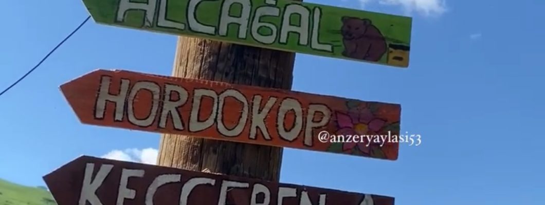 Gerçek Anzer Balı Nereden Alınır?