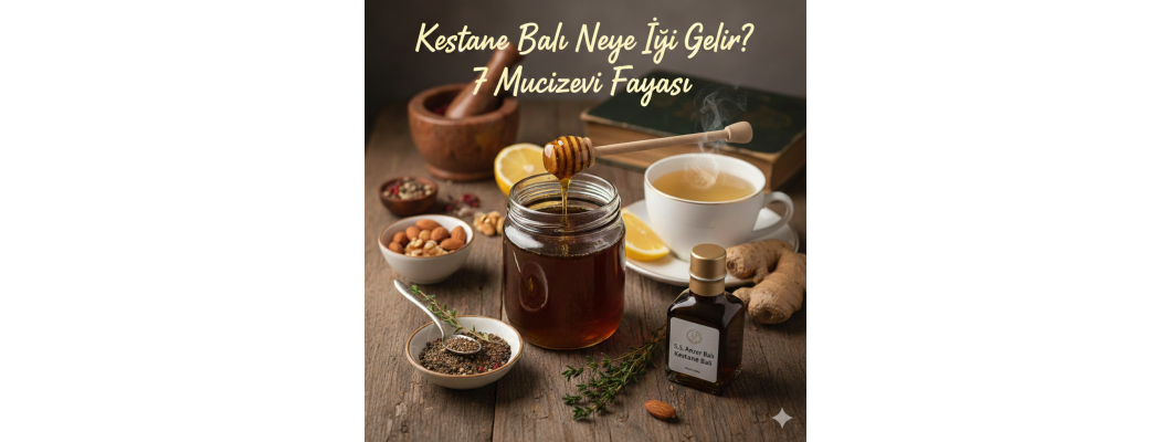 Kestane Balı Neye İyi Gelir? Faydaları ve Kullanımı
