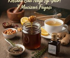 Kestane Balı Neye İyi Gelir? Faydaları ve Kullanımı