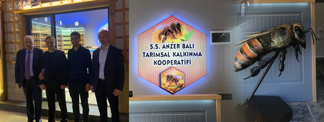 Anzer Balı Nereden Temin Edilir