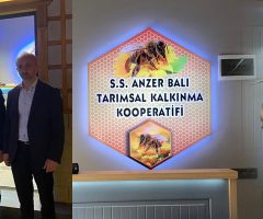 Anzer Balı Nereden Temin Edilir
