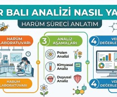 Anzer Balı Analizi Nasıl Yapılır? HARÜM Süreci Detaylı Anlatım