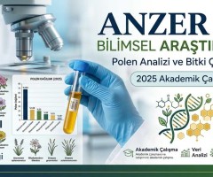 Anzer Balı Bilimsel Araştırma Sonuçları | Polen Analizi ve Bitki Çeşitliliği (2025 Akademik Çalışma)