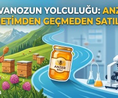 Bir Kavanozun Yolculuğu: Anzer Balı Denetimden Geçmeden Satılmaz