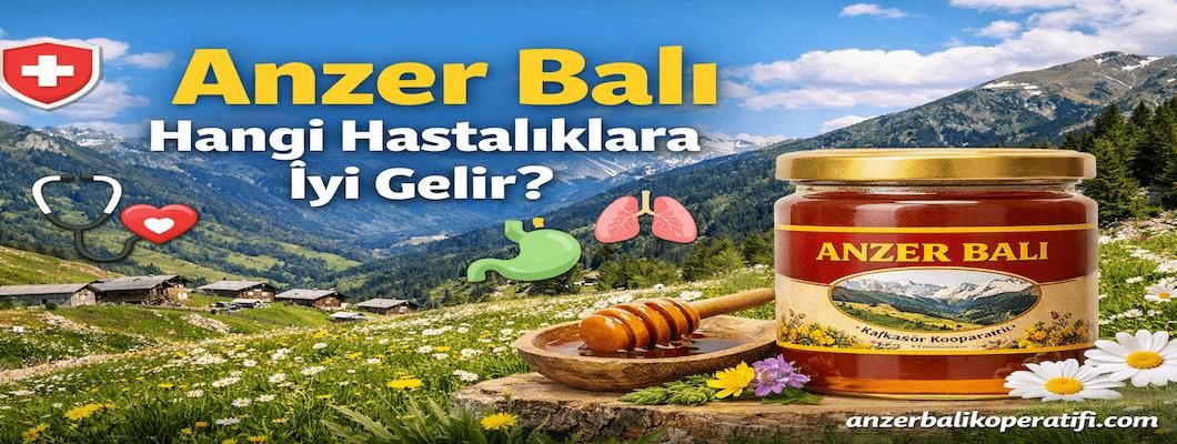 Anzer Balı Hangi Hastalıklara İyi Gelir? Doğal Şifa Kaynağı Anzer Balı