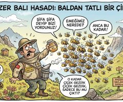 Anzer Balı Hasadı: Nasıl Yapılır ve Ne Zaman Başlar?