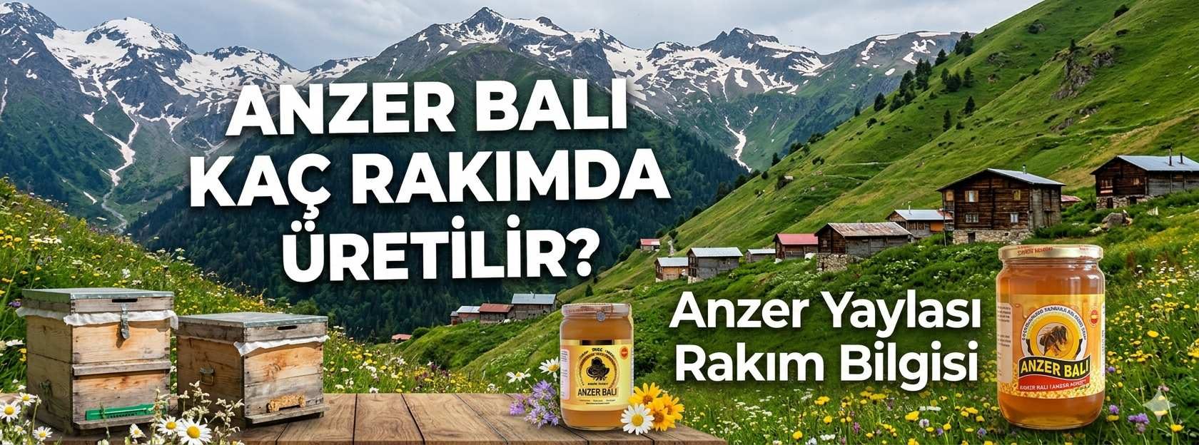 Anzer Balı Kaç Rakımda Üretilir? | Anzer Yaylası Rakım Bilgisi