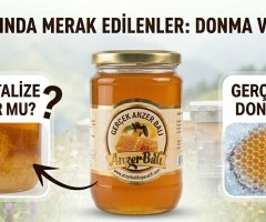 Gerçek bal neden donar? Anzer balında kristalleşme süreci