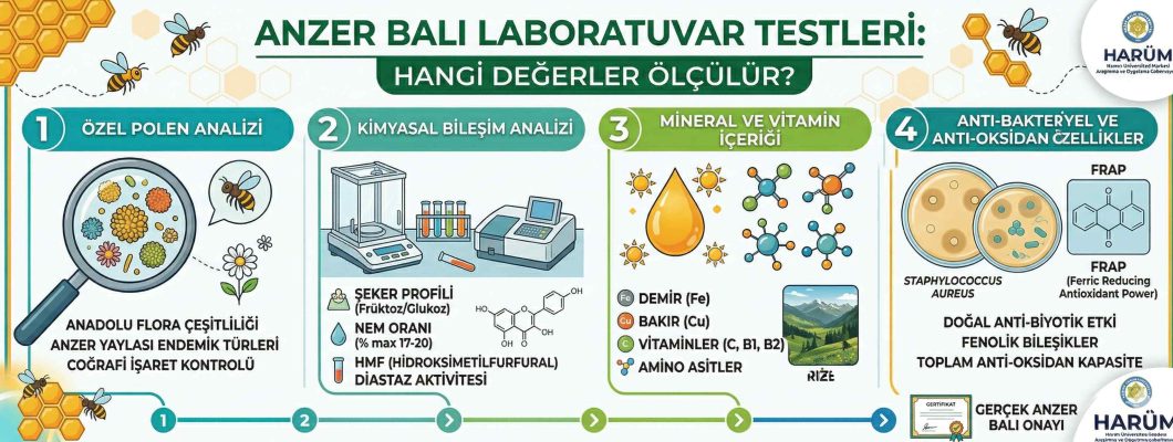 Anzer Balı Laboratuvar Testleri: Hangi Değerler Ölçülür?