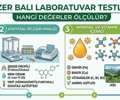 Anzer Balı Laboratuvar Testleri: Hangi Değerler Ölçülür?