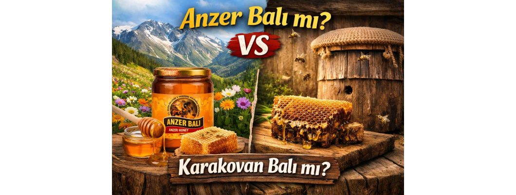 Anzer Balı mı Karakovan Balı mı? Farkları, Faydaları ve Hangisi Daha İyi?