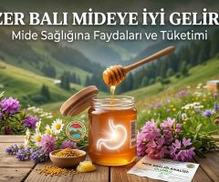 Anzer Balı Mideye İyi Gelir mi? Mide Sağlığına Faydaları ve Tüketimi