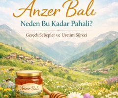 Anzer Balı Neden Bu Kadar Pahalı? Gerçek Sebepler ve Üretim Süreci