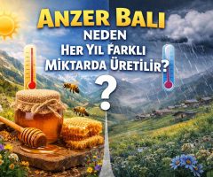 Anzer Balı Neden Her Yıl Farklı Miktarda Üretilir?