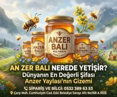 Anzer Balı Nerede Yetişir? Gerçek Anzer Balı Hakkında Her Şey
