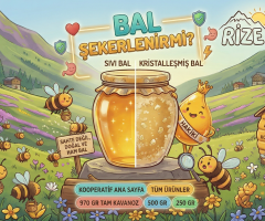 Bal Şekerlenir Mi? Gerçek Bal Neden Donar? (2026 Rehberi)