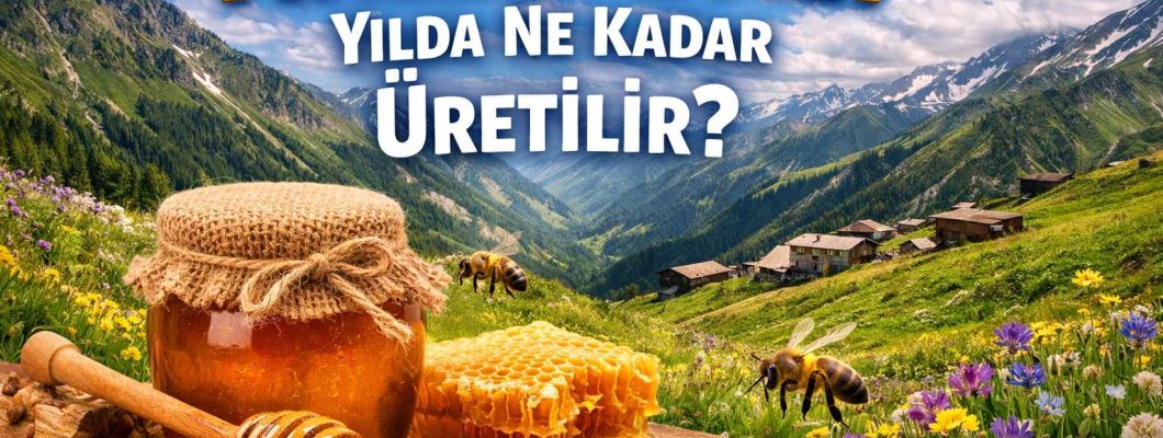 Anzer Balı Yılda Ne Kadar Üretilir? Gerçek Üretim Miktarı 2025 Verileri