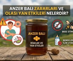 Anzer Balı Zararları ve Olası Yan Etkileri Nelerdir?