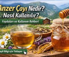 Anzer Çayı Nedir? Nasıl Kullanılır? Faydaları ve Doğru Tüketimi
