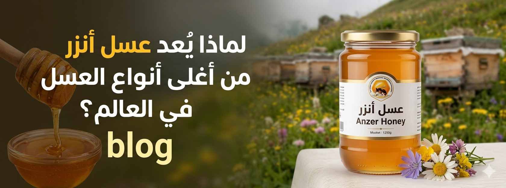 لماذا يُعد عسل أنزر من أغلى أنواع العسل في العالم؟