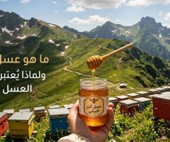 ما هو عسل أنزر التركي؟ ولماذا يُعتبر من أندر أنواع العسل في العالم؟