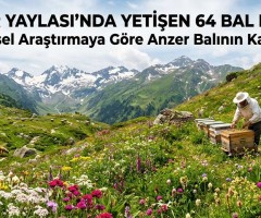 Anzer Yaylası’nda Yetişen 64 Bal Bitkisi: Bilimsel Araştırmaya Göre Anzer Balının Kaynağı