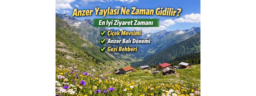Anzer Yaylası Ne Zaman Gidilir? En İyi Ziyaret Zamanı ve Gezi Rehberi