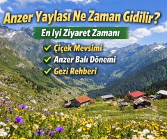 Anzer Yaylası Ne Zaman Gidilir? En İyi Ziyaret Zamanı ve Gezi Rehberi