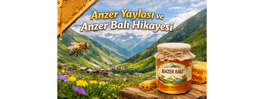 Anzer Yaylası ve Anzer Balı Hikayesi | Dünyanın En Özel Balının Doğuşu