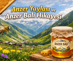 Anzer Yaylası ve Anzer Balı Hikayesi | Dünyanın En Özel Balının Doğuşu