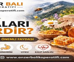 Balın Faydaları Nelerdir? Doğal Balın Sağlığa 12 Önemli Faydası