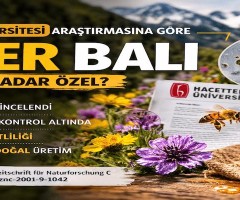 Hacettepe Üniversitesi Araştırmasına Göre Anzer Balı Neden Bu Kadar Özel?
