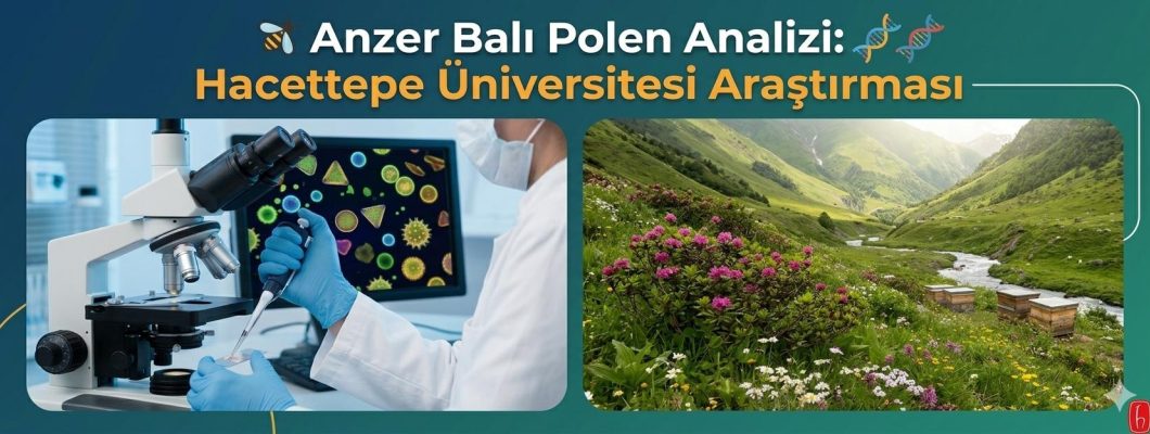 Anzer Balı Polen Analizi: Hacettepe Üniversitesi Araştırması