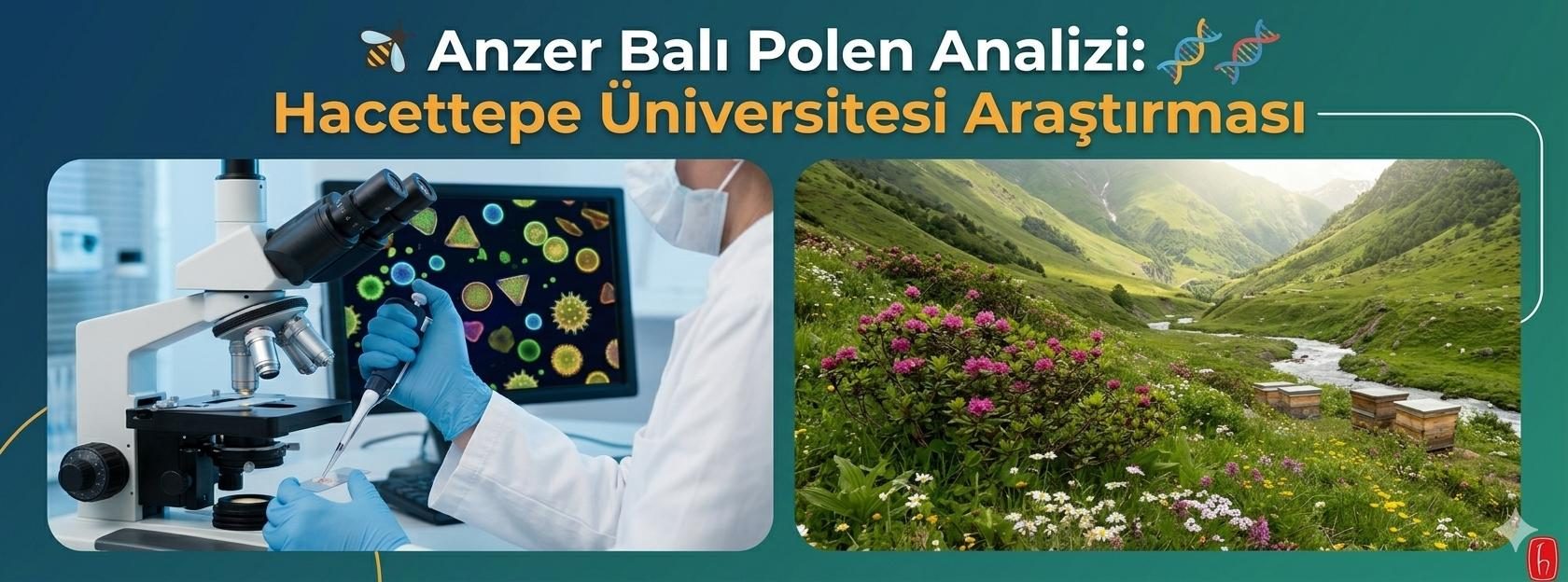 Anzer Balı Polen Analizi: Hacettepe Üniversitesi Araştırması