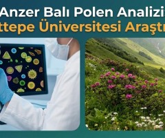 Anzer Balı Polen Analizi: Hacettepe Üniversitesi Araştırması