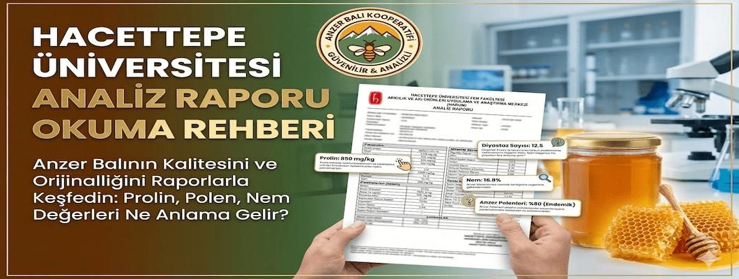 Ankara Hacettepe Üniversitesi Analiz Raporu Okuma Rehberi | Anzer Balı Analizi Nasıl Yorumlanır?