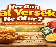 Her Gün Bal Yersek Ne Olur? Günlük Bal Tüketmenin 10 Önemli Faydası