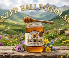 Anzer Balı Nedir, Neye İyi Gelir? Gerçek Anzer Balı Rehberi
