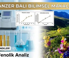 Anzer Balı Bilimsel Makale: Antioksidan ve Fenolik Analiz