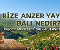Rize Anzer Yaylası Balı Nedir?
