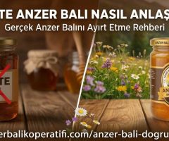 Sahte Anzer Balı Nasıl Anlaşılır? Gerçek Anzer Balını Ayırt Etme Rehberi