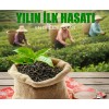 Rize Mayıs Çayı (özel) 400 gr